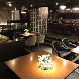 Dining Bar Kitsune 渋谷 キツネ の店舗情報 パーティ会場 会費制 少人数結婚式 ウェディングパーティーのエモパ エモーショナルパーティー