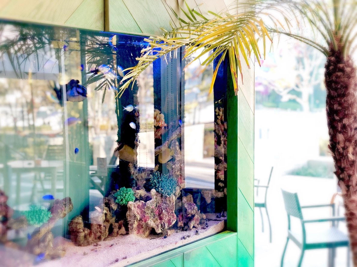 Hawaiian Cafe&Restaurant Merengue みなとみらい店